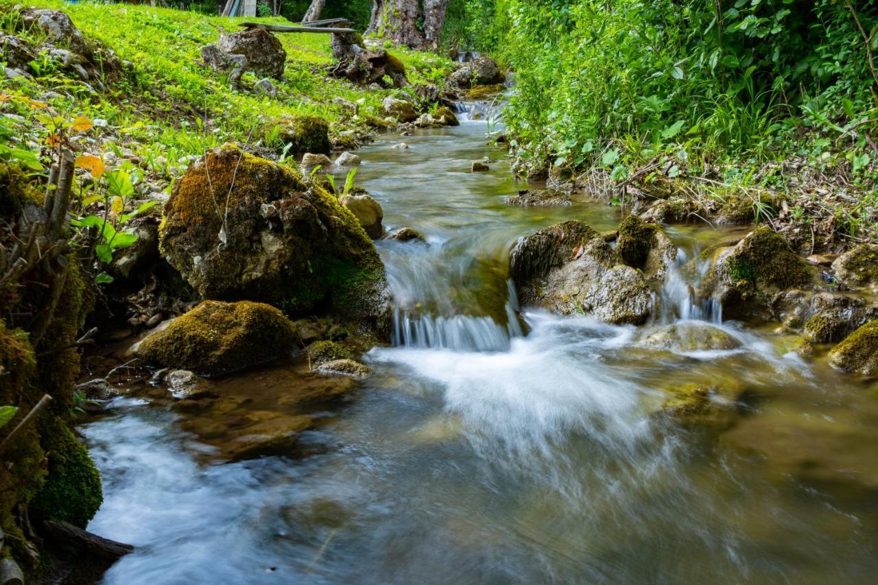 Kuca U Sumi - Forrest House Near Una National Park Bihać 외부 사진
